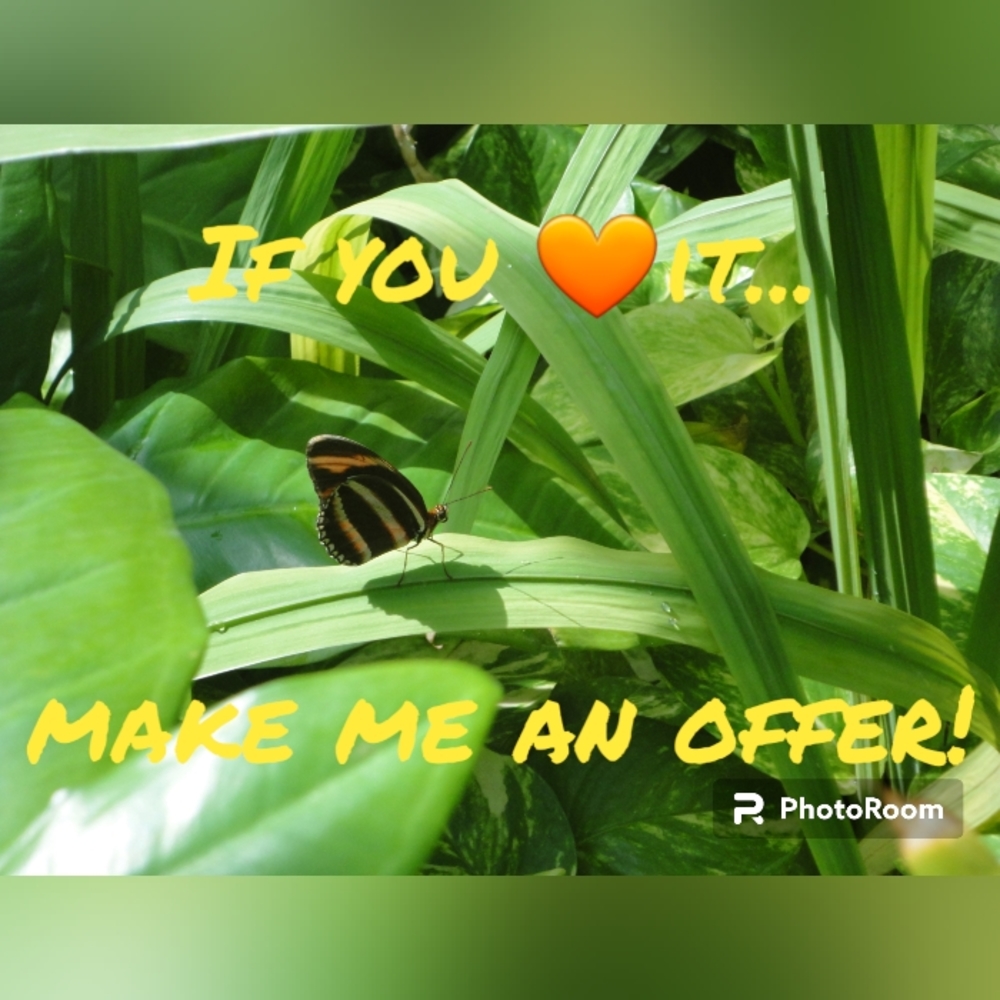 💚 Make an offer 💚